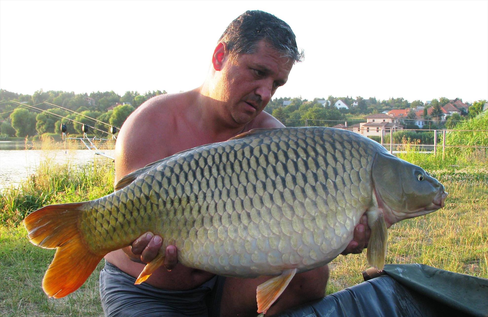 Harsany 21 - 27 iul. - img0198.JPG